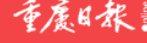 工作动态